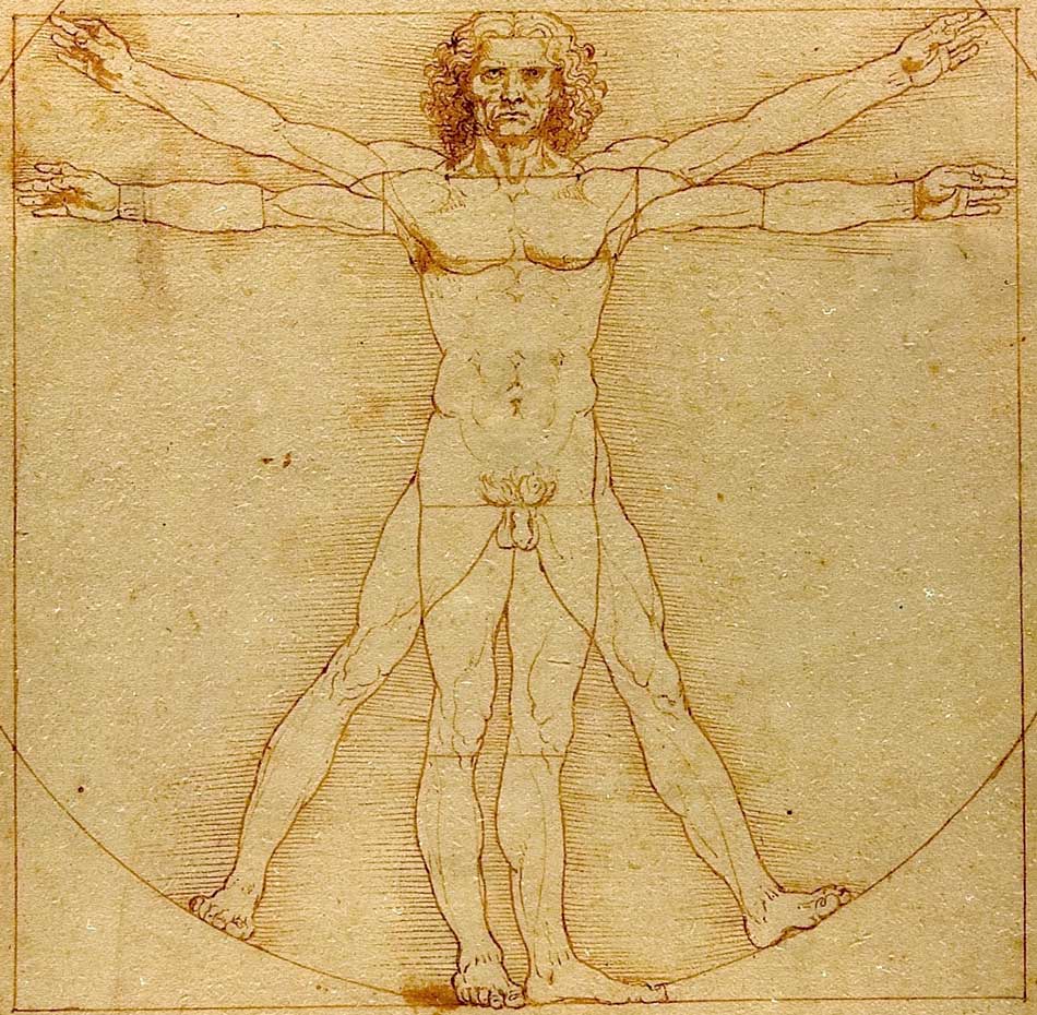 Sejarah Seni Artis : Vitruvian Man